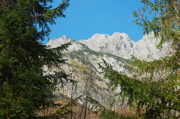 Vista de las montañas alpinas en Berchtesgadener Land en un cálido día de otoño