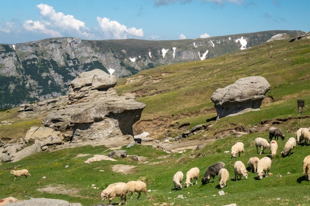 Vista desde las montañas de Bucegi, Rumania, Parque Nacional de Bucegi