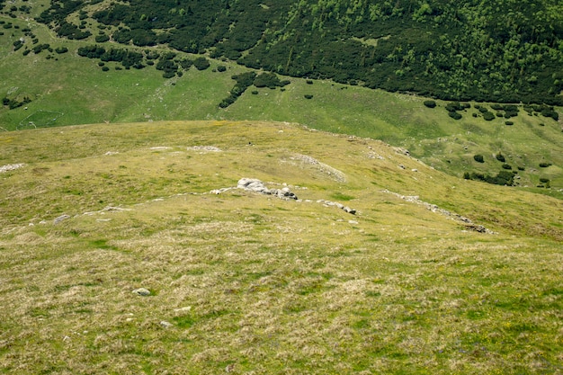 Vista de las montañas de Bucegi, Rumania