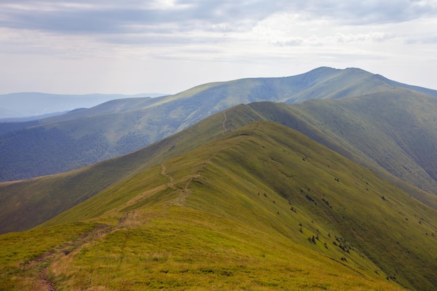 Vista de las montañas en los Cárpatos Ucrania xA