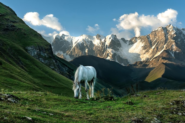 Vista de las montañas más altas del Cáucaso