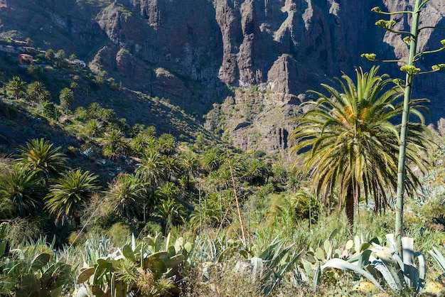 Vista de las montañas y la máscara de garganta