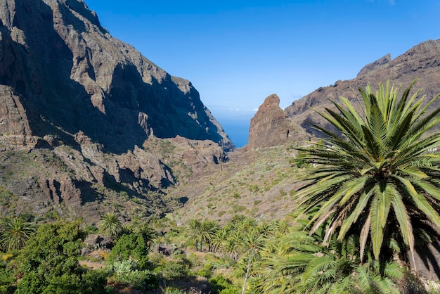 Vista de las montañas y la máscara de garganta