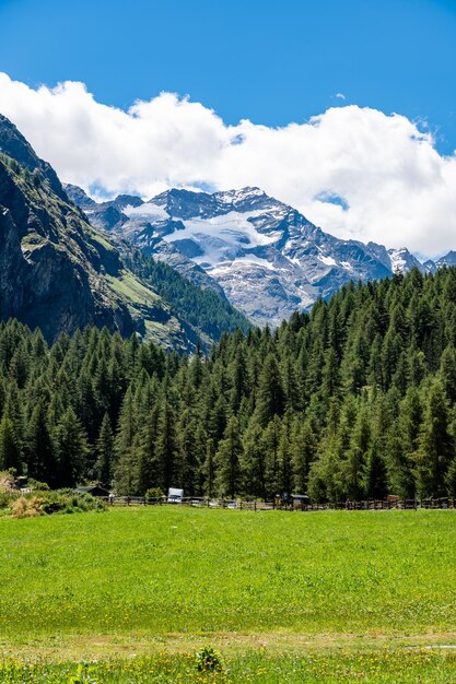 Foto vista de las montañas nevadas desde el valle