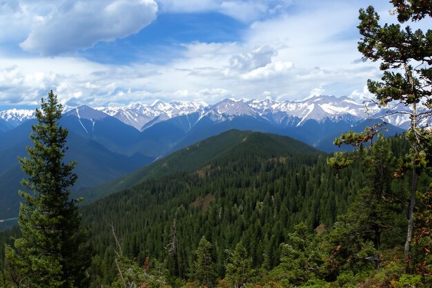 una vista de las montañas desde el sendero