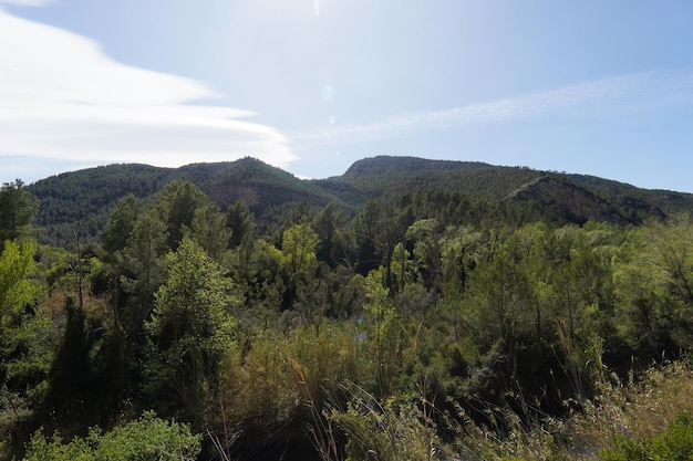 Una vista de las montañas desde el sendero.