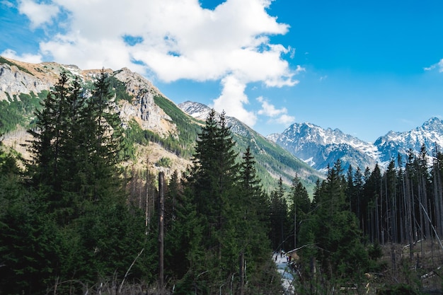 Vista de las montañas Tatras