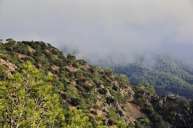 La vista de las montañas de Troodos Chipre