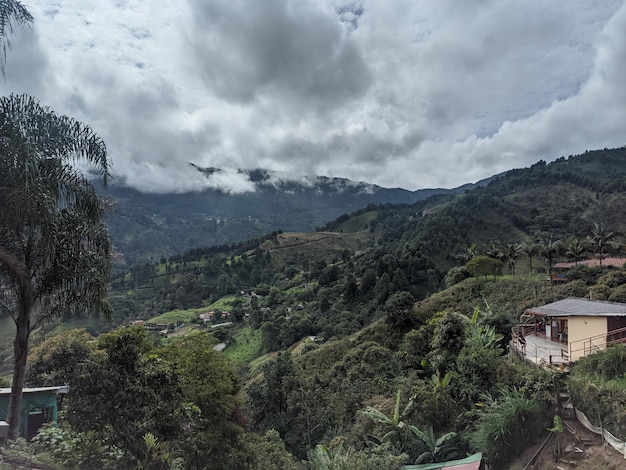 vista de las montañas