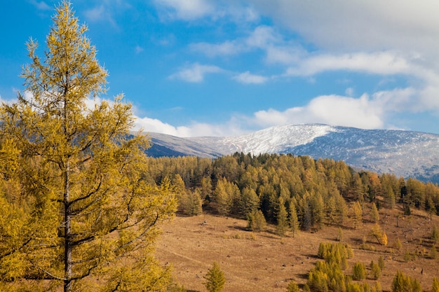 Vista del monte Altai Sarlyks