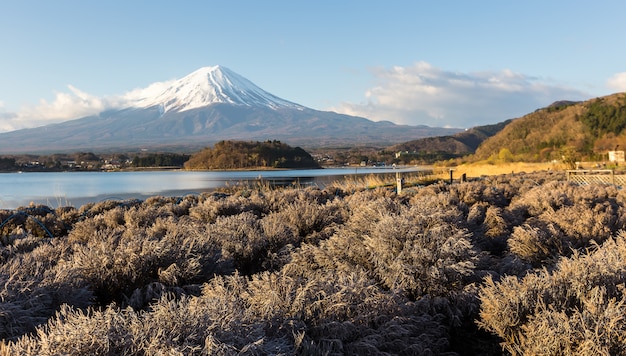 Vista del monte Fuji con campo de musgo en la mañana en el lago kawaguchiko yamanashi Japón