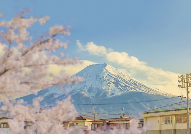 Una vista del monte fuji desde la ventana de una casa con un árbol en primer plano