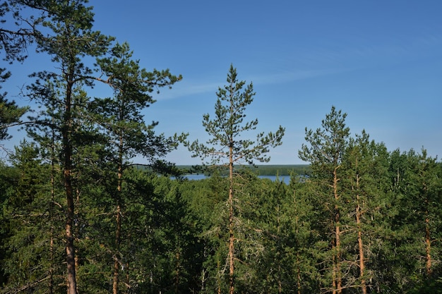 Vista desde el Monte Sampo hasta el lago Konchezero Karelia El concepto de viajar en Rusia en verano