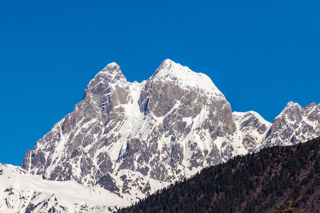 Vista del monte Ushba. Ushba es uno de los picos más notables de la cordillera del Cáucaso, ubicado en la región de Svaneti de Georgia. Viaje.