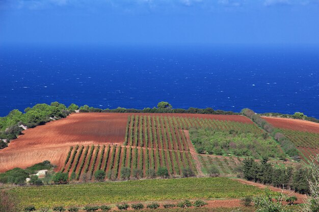 Vista na costa do mediterrâneo na argélia, áfrica