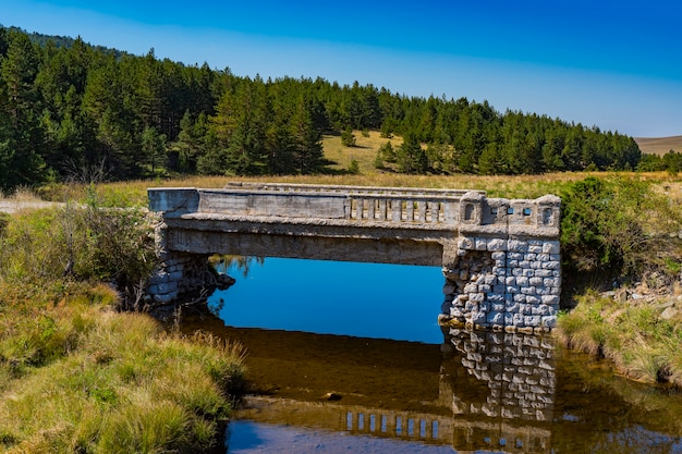 Vista na velha ponte de pedra no rio Crni Rzav na montanha Zlatibor, Sérvia