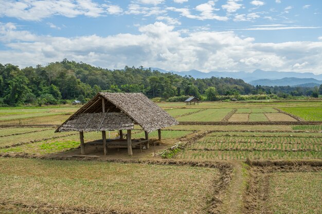 Vista natural con la pequeña cabaña en Pai