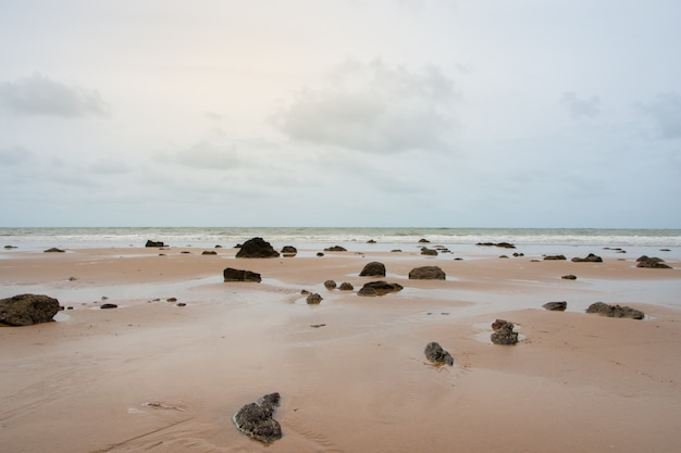 Vista de la naturaleza, el mar y los árboles