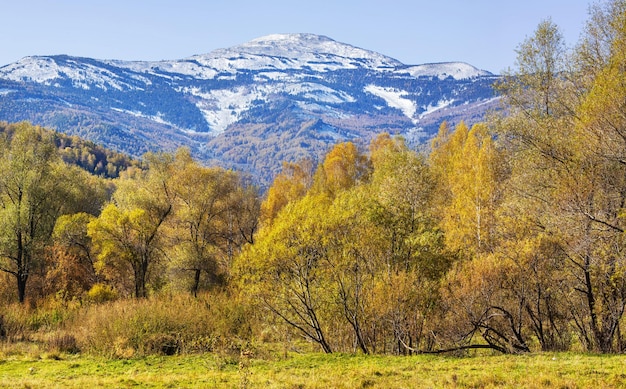 Vista de la naturaleza otoñal Picos nevados y bosques