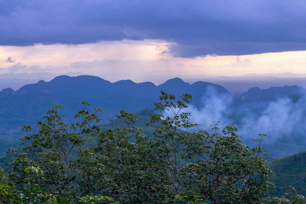 Vista de la naturaleza del paisaje y la niebla y la montaña a la luz de la mañana