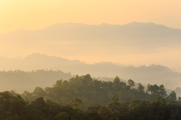 Vista de la naturaleza del Parque Nacional de Khao Yai Tailandia