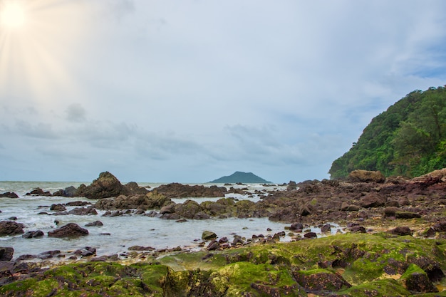 Vista de la naturaleza