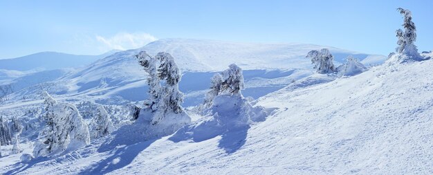 Vista nevada en las montañas de los Cárpatos