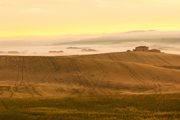 Vista de niebla de la mañana en la granja en la Toscana, Italia