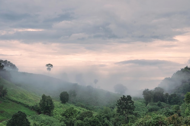 Vista de niebla y montaña por la noche en temporada de lluvias