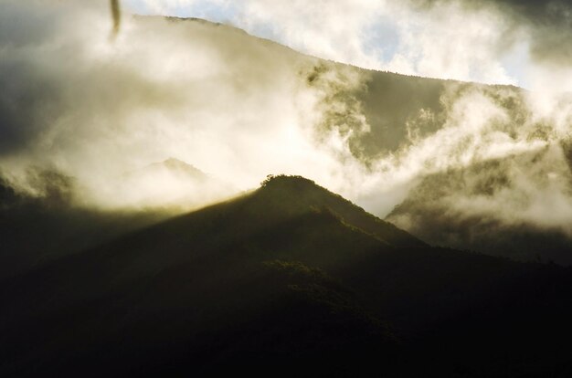 Foto vista de la niebla en las montañas