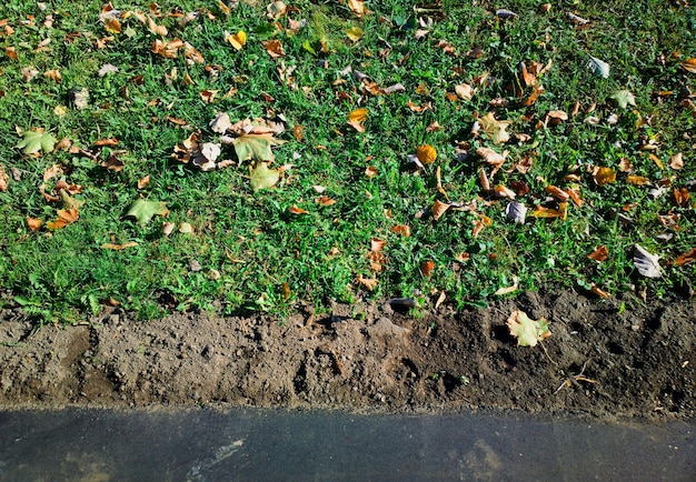 Vista no gramado de outono do fundo do objeto acima