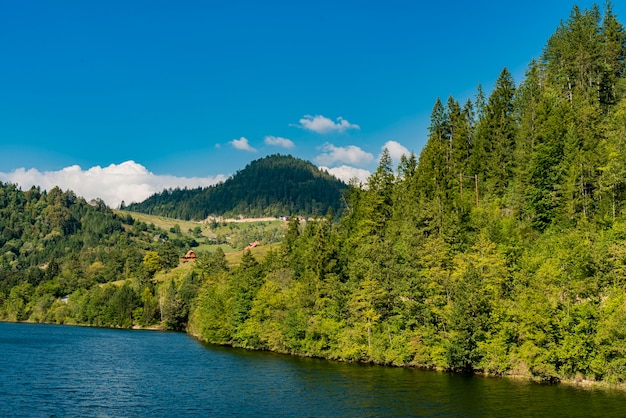 Vista no lago zaovine na sérvia