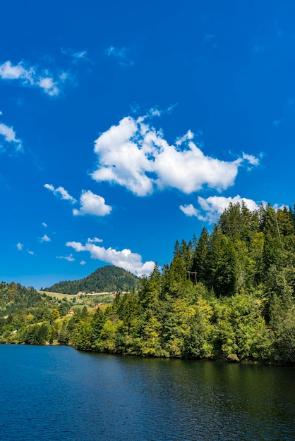 Vista no lago Zaovine na Sérvia