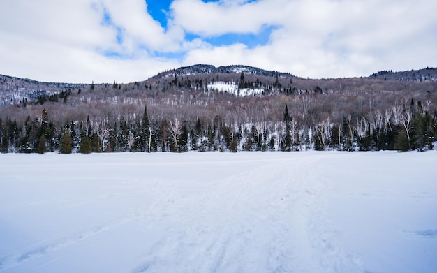 Vista no Mont Kaaikop no inverno em Quebec (Canadá)