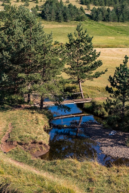 Vista no rio Crni Rzav na montanha Zlatibor, na Sérvia