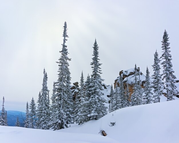 Vista no topo do Monte Utuya. Paisagem da floresta de inverno nas montanhas de Altai. Sibéria, região de Kemerovo, estação de esqui de Sheregesh