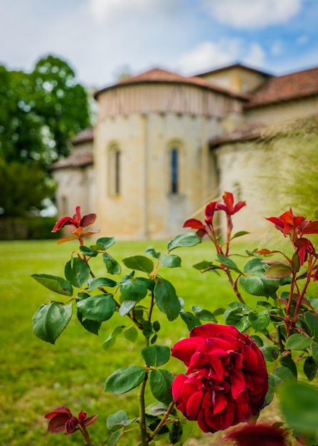 Vista no transepto e absides da Abadia românica de Flaran com rosa canela vermelha