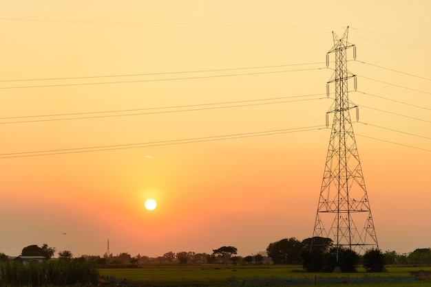 Vista de noche de una torre de línea eléctrica en medio de un campo de arroz