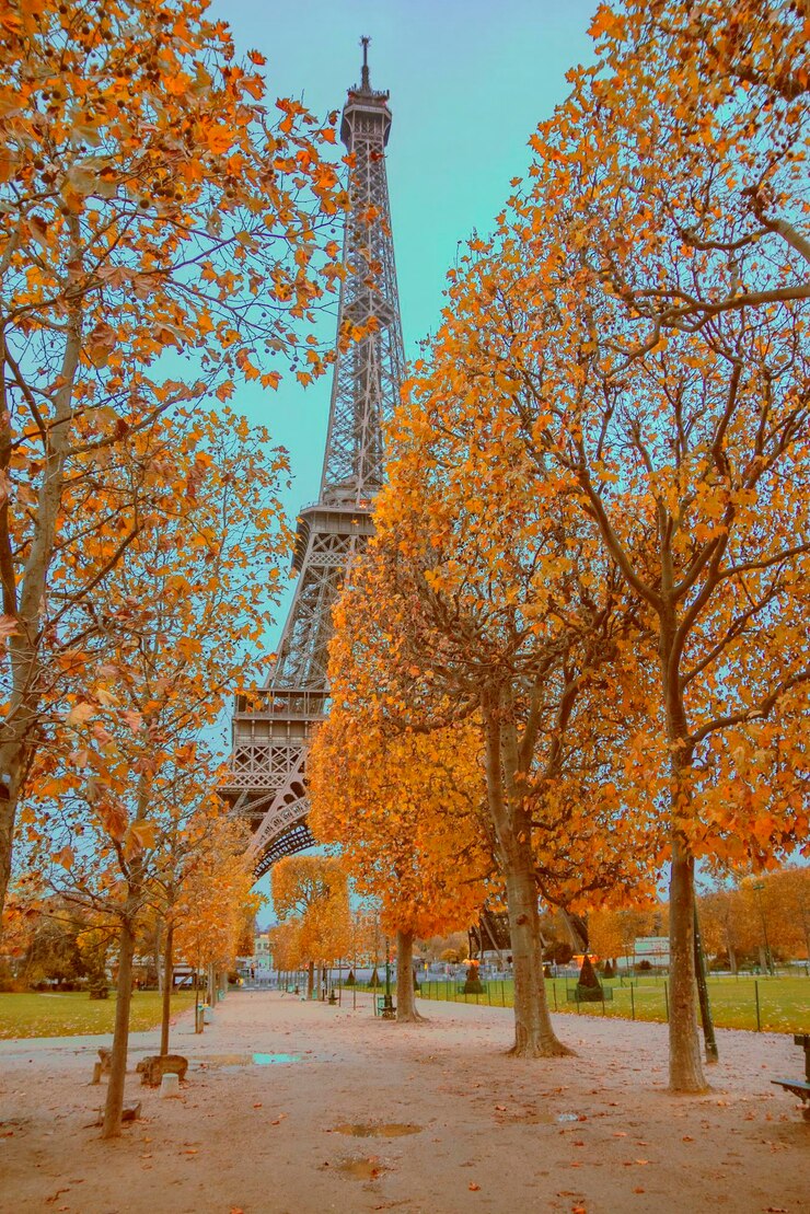 Foto vista nocturna de la torre eiffel en parís en otoño
