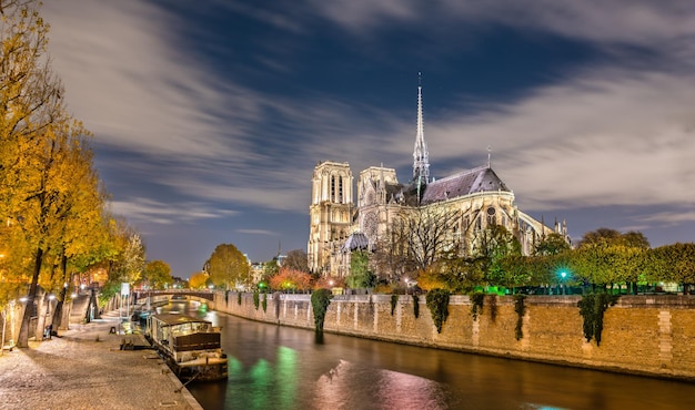 Vista de Notre-Dame de Paris desde las orillas del Sena por la noche. Francia