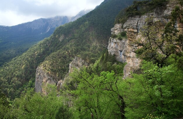 Vista nublada de primavera da encosta do Monte Aj-Petri (trilha botânica, Crimeia, Ucrânia)