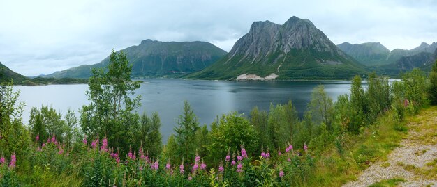 Vista nublada de verão no fiorde com flores em frente (Noruega)