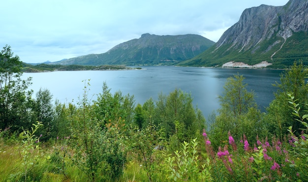Vista nublada de verão no fiorde com flores em frente (Noruega)