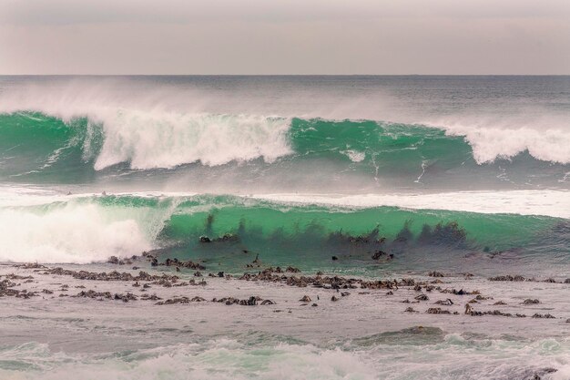 Foto vista de olas masivas en un día nublado en gansbaai famoso por la observación de tiburones y ballenas