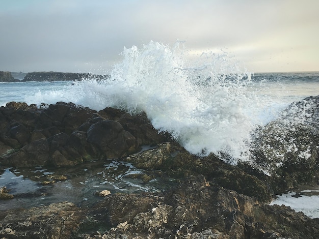 Foto vista de las olas que se rompen en la orilla rocosa