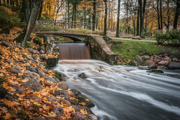 Vista de la orilla del río otoño con pequeña cascada.