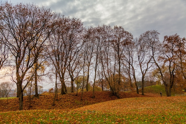 Vista otoñal con árboles casi audaces y nubes opacas en el cielo, en la aldea turística y arqueológica de Kernave, cerca de Vilnius, Lituania