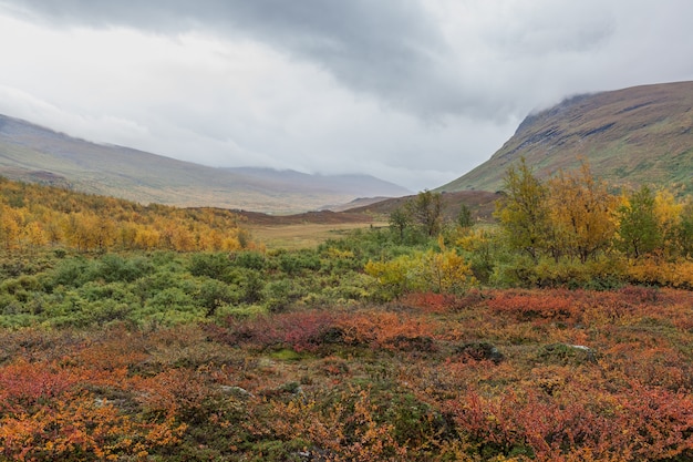 Vista otoñal del Parque Nacional de Sarek, Laponia, Condado de Norrbotten