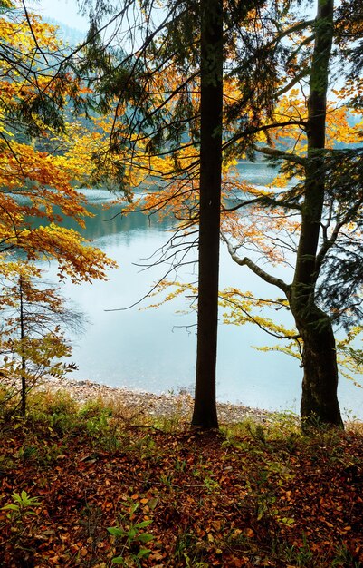 Vista de otoño del lago Synevyr