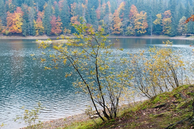 Vista de otoño del lago Synevyr